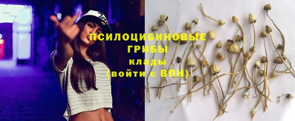 кристаллы Новокубанск