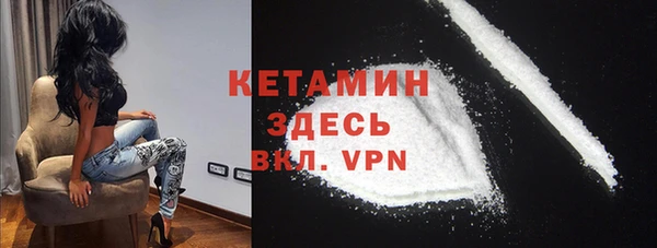 a pvp Новозыбков