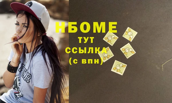 a pvp Новозыбков