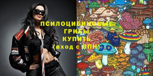 a pvp Новозыбков
