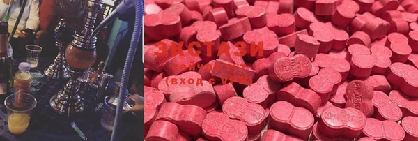 a pvp Новозыбков