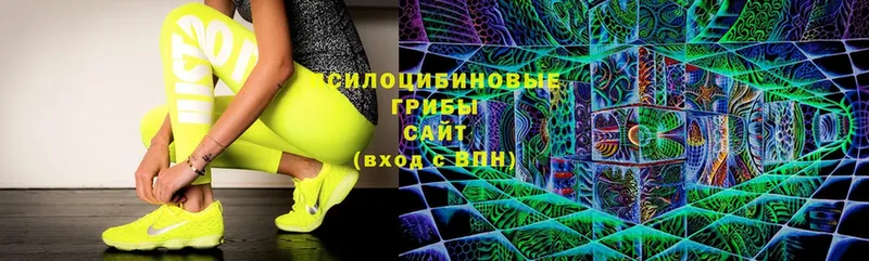 Галлюциногенные грибы Cubensis  это формула  Пятигорск 