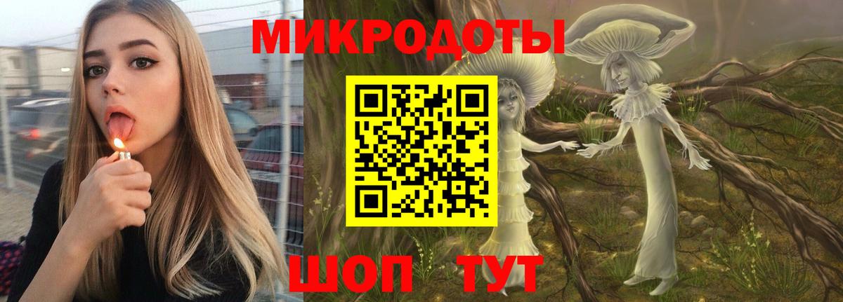 Пятигорск  Псилоцибиновые грибы прущие грибы  Вход с VPN 